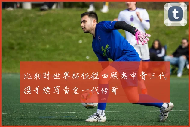 比利时世界杯征程回顾老中青三代携手续写黄金一代传奇